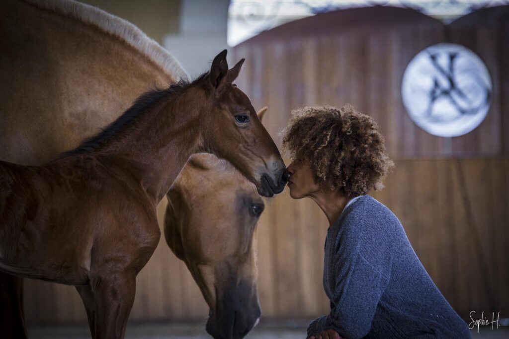 portrait-couple photo équine chevaux poulain portrait charente gironde dordogne