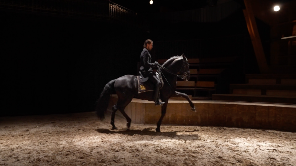 vidéo équestre chevaux promotion charente gironde