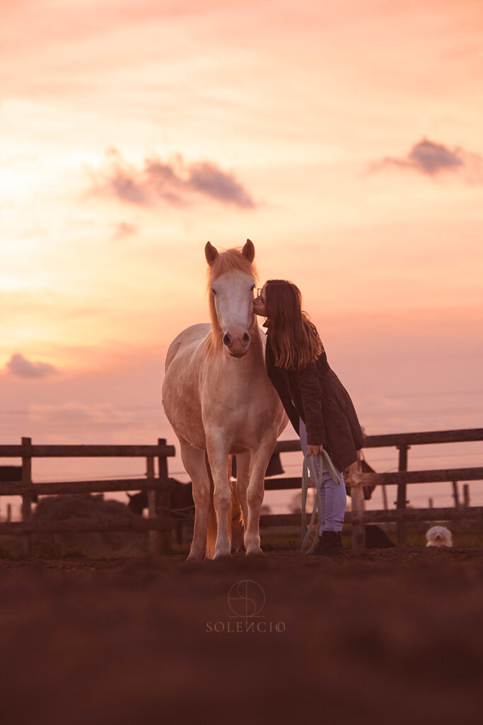 photo chevaux portrait